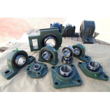 Fkd Bearing/Pillow Block Bearings/Ball Bearings